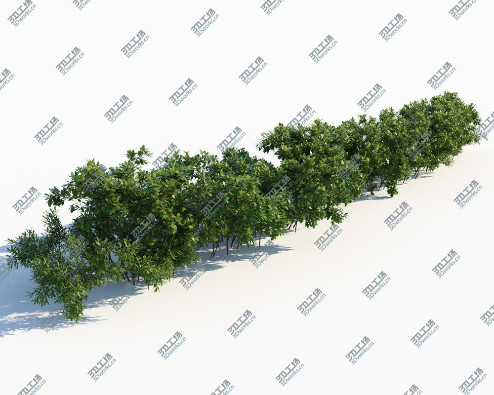 images/goods_img/2021040232/Bushes for Archviz/2.jpg